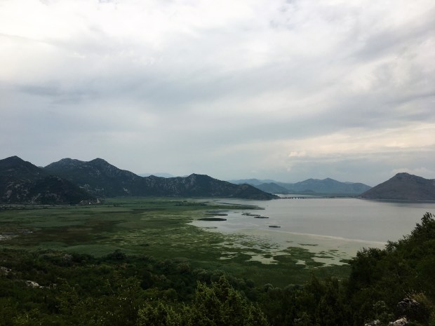 Skadar ezers