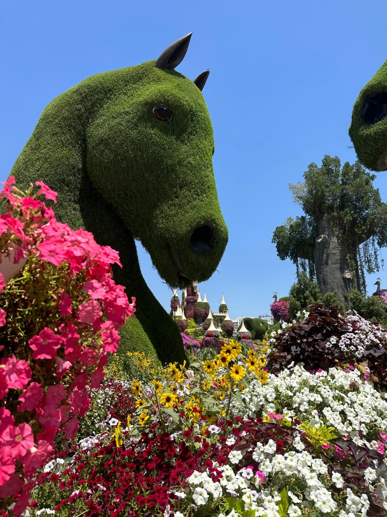 Dubai Miracle Garden