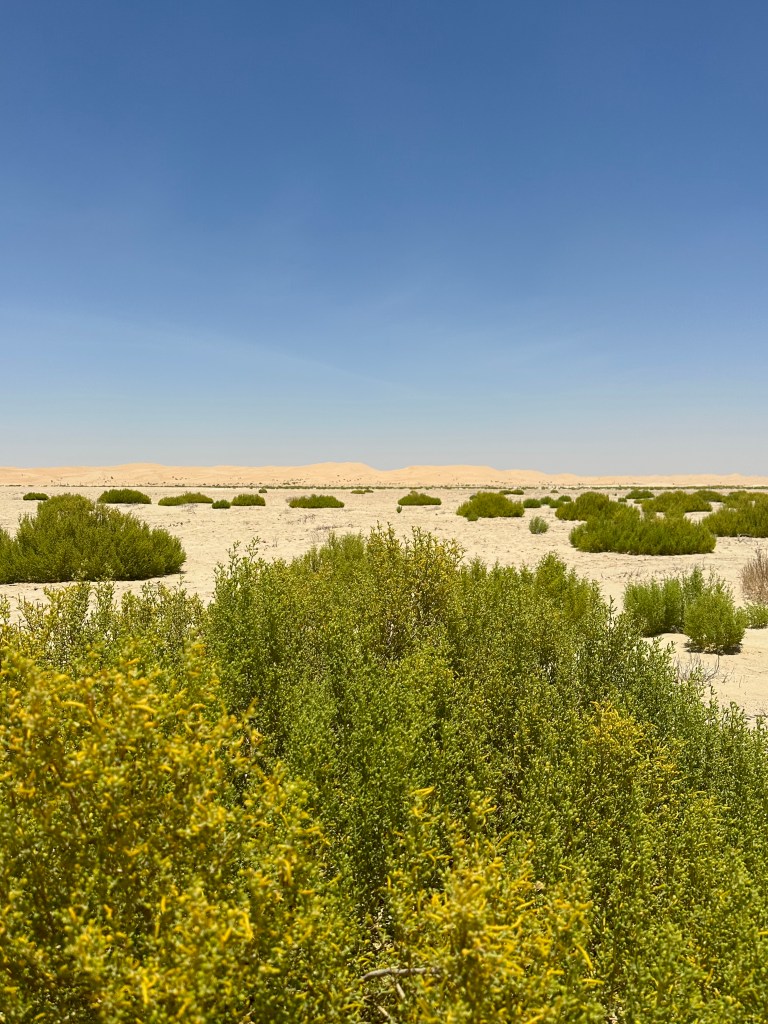 Sweihan Pond Abu Dhabi