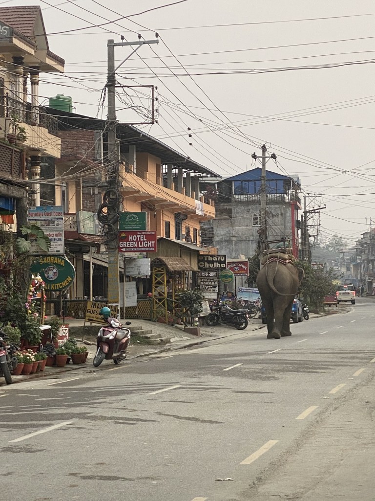 Chitwan Tharu Village