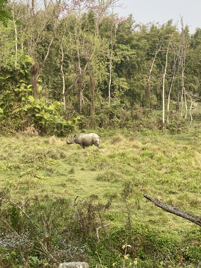 Chitwan ational park